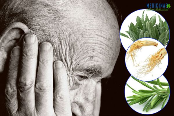 Alzhéimer síntomas, diagnóstico y alimentos favorables para la memoria